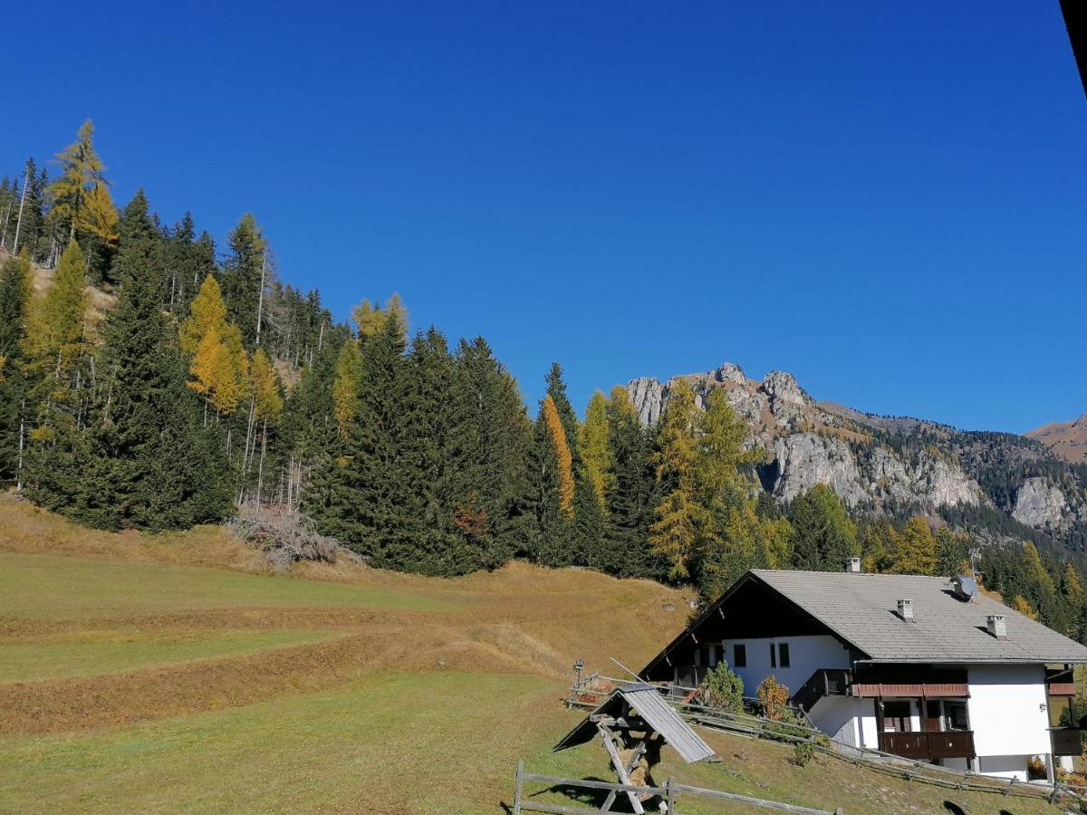 Chalet Relax Pozza di Fassa Esterno foto